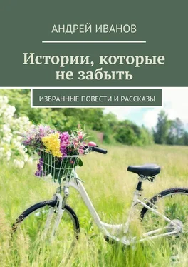 Андрей Иванов Истории, которые не забыть. Избранные повести и рассказы обложка книги