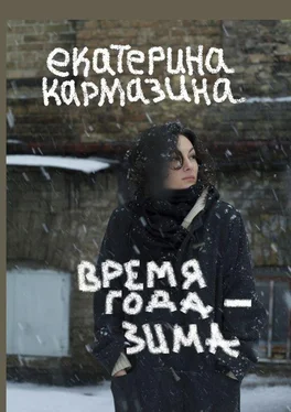 Екатерина Кармазина Время года – зима. Роман обложка книги