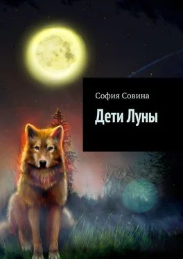 София Совина Дети Луны обложка книги