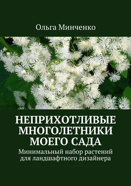 Ольга Минченко Неприхотливые многолетники моего сада. Минимальный набор растений для ландшафтного дизайнера обложка книги