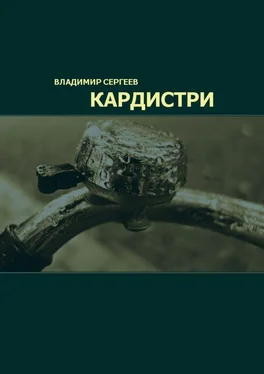 Владимир Сергеев Кардистри обложка книги