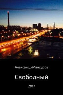 Александр Мансуров Свободный обложка книги