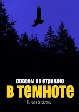 Наталья Винокурова Совсем не страшно в темноте обложка книги