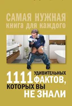 Любовь Кремер 1111 удивительных фактов, которых вы не знали обложка книги