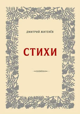 Дмитрий Житенёв Стихи обложка книги