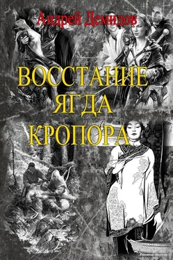 Андрей Демидов Новый мир – Восстание ягда Кропора обложка книги