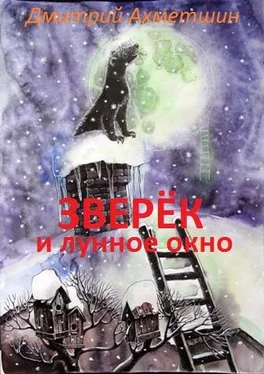 Дмитрий Ахметшин Зверёк и Лунное окно обложка книги