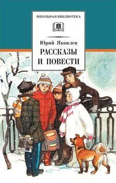 Юрий Яковлев Рассказы и повести обложка книги