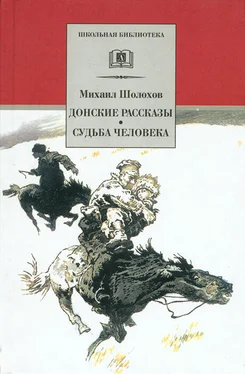 Михаил Шолохов Донские рассказы. Судьба человека (сборник) обложка книги