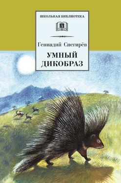 Геннадий Снегирев Умный дикобраз (сборник) обложка книги