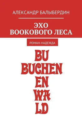 Александр Балыбердин Эхо Bookового леса. Роман-надежда обложка книги