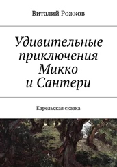 Виталий Рожков - Удивительные приключения Микко и Сантери. Карельская сказка