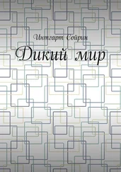 Интгарт Сойрин - Дикий мир