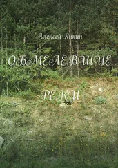 Алексей Янкин - Обмелевшие реки
