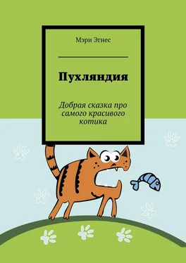 Мэри Эгнес Пухляндия. Добрая сказка про самого красивого котика обложка книги