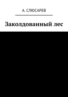 Анатолий Слюсарев Заколдованный лес обложка книги