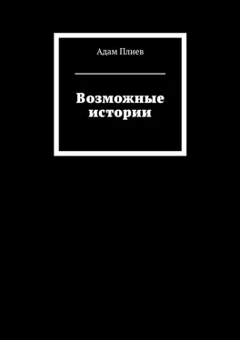 Адам Плиев Возможные истории обложка книги