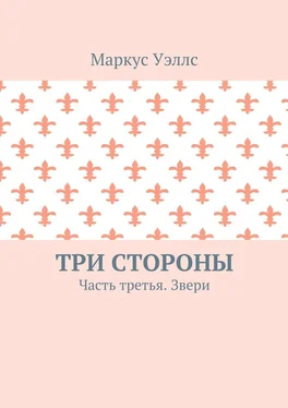 Маркус Уэллс Три стороны. Часть третья. Звери обложка книги