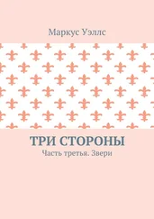 Маркус Уэллс - Три стороны. Часть третья. Звери