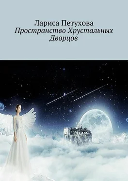 Лариса Петухова Пространство Хрустальных Дворцов обложка книги