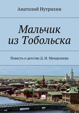 Анатолий Нутрихин Мальчик из Тобольска. Повесть о детстве Д. И. Менделеева обложка книги