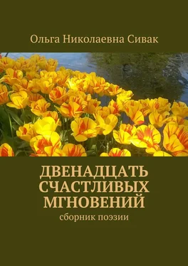 Ольга Сивак Двенадцать счастливых мгновений. Сборник поэзии обложка книги