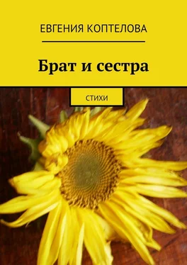 Евгения Коптелова Брат и сестра. Стихи обложка книги