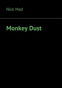 Nick Mad Monkey Dust обложка книги