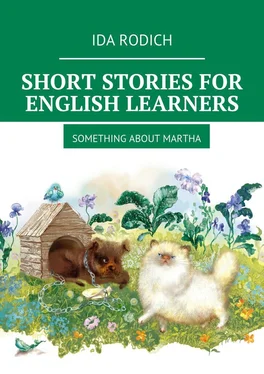 Ida Rodich Short stories for English stories. Something about Martha обложка книги