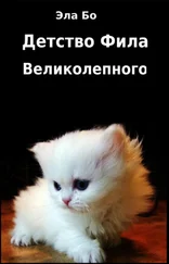 Эла Бо - Детство Фила Великолепного