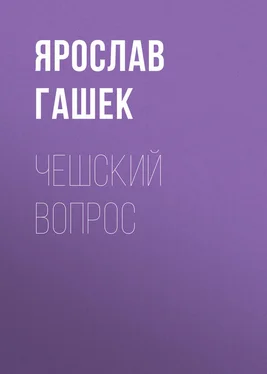 Ярослав Гашек Чешский вопрос обложка книги