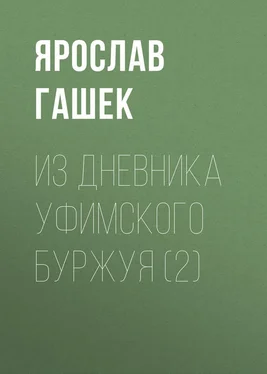 Ярослав Гашек Из дневника уфимского буржуя (2) обложка книги