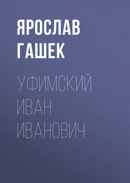 Ярослав Гашек Уфимский Иван Иванович обложка книги