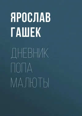 Ярослав Гашек Дневник попа Малюты обложка книги