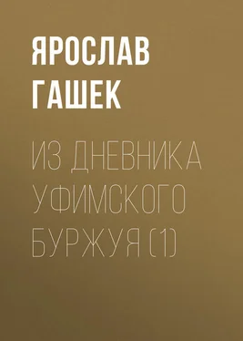 Ярослав Гашек Из дневника уфимского буржуя (1) обложка книги