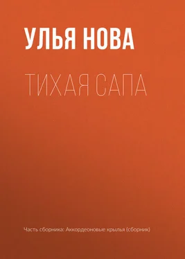 Улья Нова Тихая Сапа обложка книги