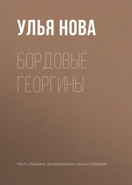 Улья Нова Бордовые георгины обложка книги