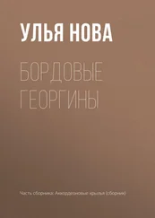 Улья Нова - Бордовые георгины