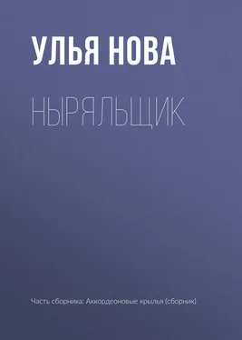 Улья Нова Ныряльщик обложка книги