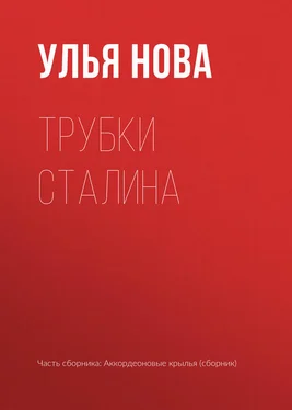 Улья Нова Трубки Сталина обложка книги