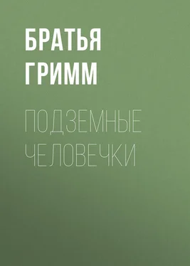 Якоб и Вильгельм Гримм Подземные человечки обложка книги