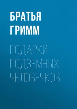 Якоб и Вильгельм Гримм Подарки подземных человечков обложка книги