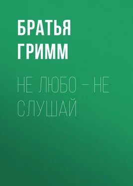 Якоб и Вильгельм Гримм Не любо – не слушай обложка книги