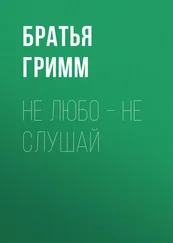 Якоб и Вильгельм Гримм - Не любо – не слушай