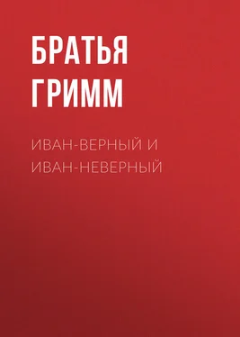 Якоб и Вильгельм Гримм Иван-Верный и Иван-Неверный обложка книги