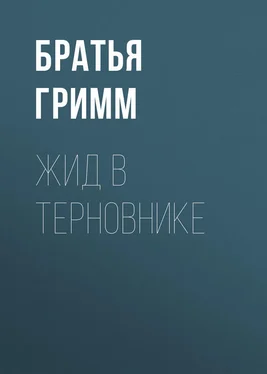 Якоб и Вильгельм Гримм Жид в терновнике обложка книги