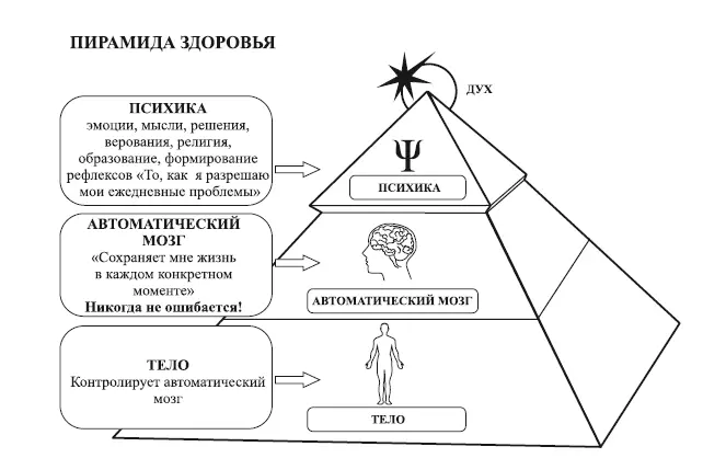 Пояснение к изображению далее в Исцелении Воспоминанием уровень 1 - фото 1