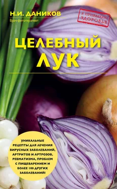 Николай Даников Целебный лук обложка книги