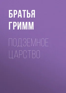 Якоб и Вильгельм Гримм Подземное царство обложка книги