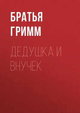 Якоб и Вильгельм Гримм Дедушка и внучек обложка книги